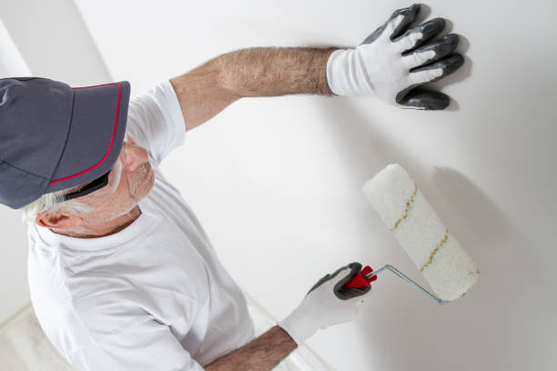 Best Environmental Consulting for Mold Prevention  in Ranchester, WY