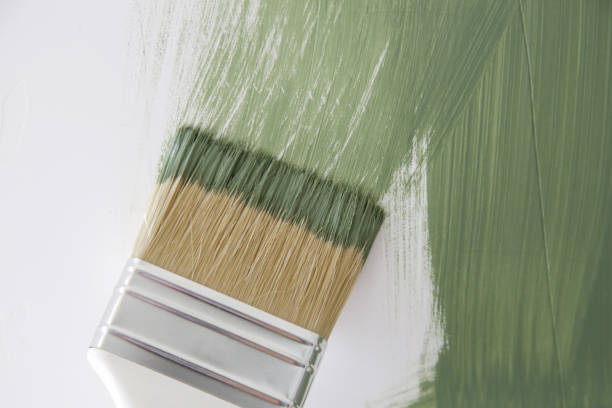 Mold Odor Removal Services in Ranchester, WY
