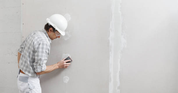 Best Mold Odor Removal Services  in Ranchester, WY