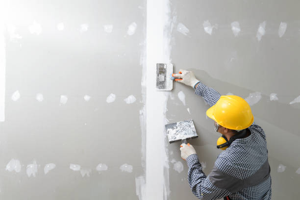 Best Post-Remediation Verification Testing  in Ranchester, WY