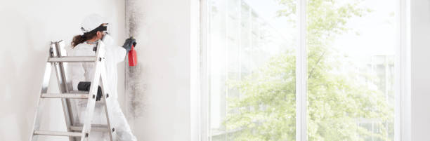 Mold Removal for HVAC Installations in Ranchester, WY